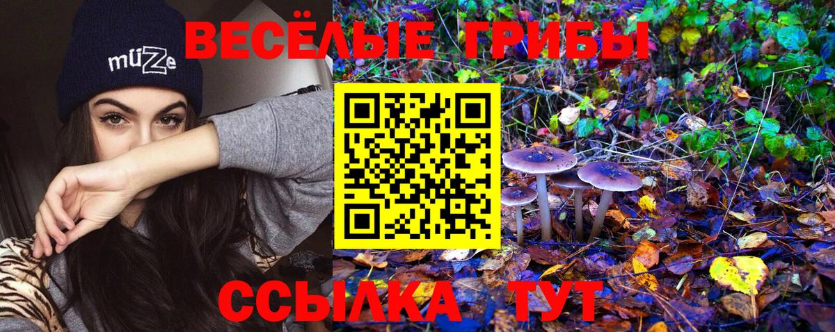 Галлюциногенные грибы Magic Shrooms Электросталь