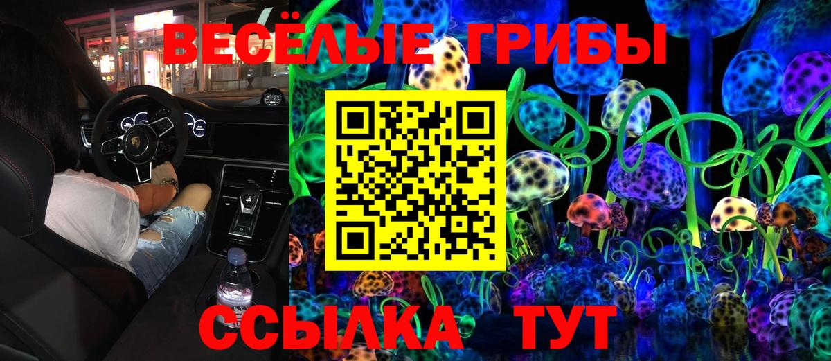 Электросталь  Галлюциногенные грибы MAGIC MUSHROOMS  Вход с VPN 